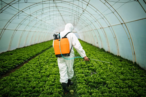 Best Pest Control Near Me  in Gastonia, NC