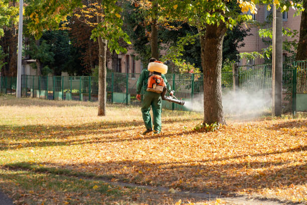 Best Termite Control Services  in Gastonia, NC