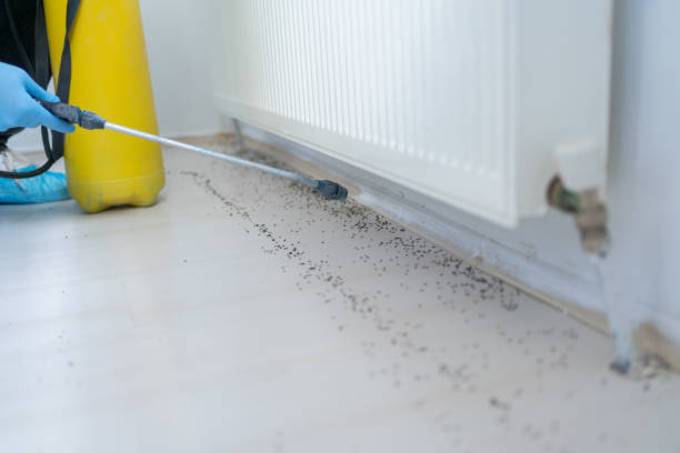 Best Bed Bug Extermination  in Gastonia, NC