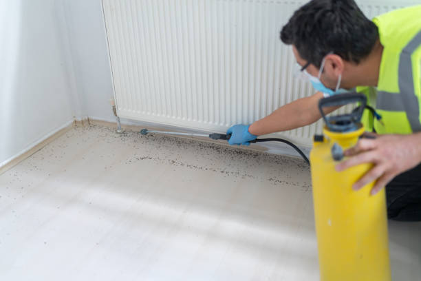 Reliable Gastonia, NC Pest Control Solutions